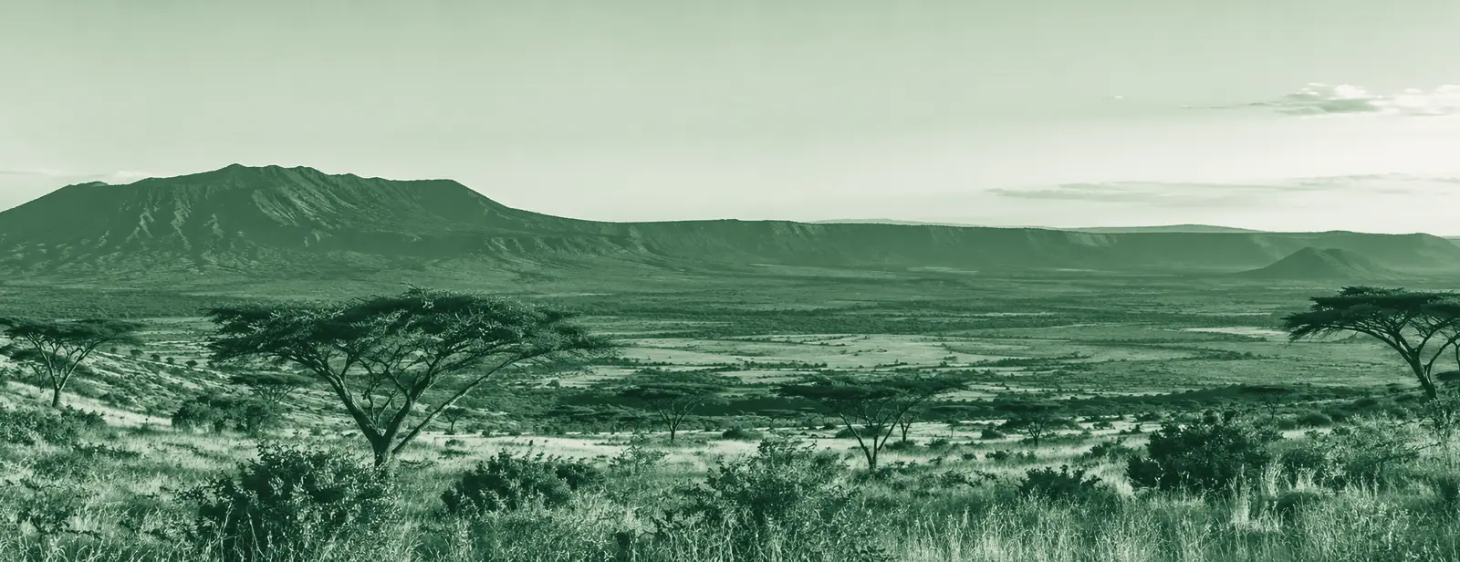 The Rift Valley at evening: the long rim of Mount Longonot above acacia trees and dry savanna grass.